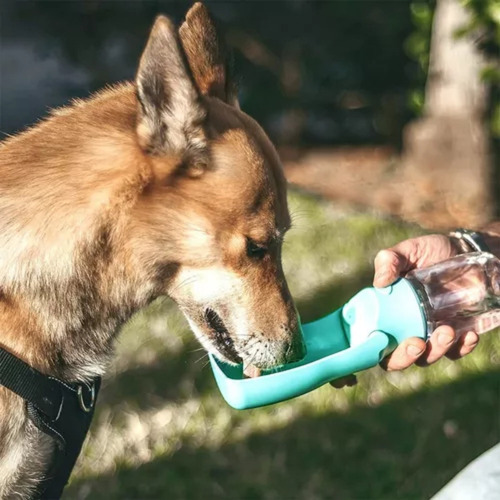 * Botella De Agua For Perros, Botella De Agua Portátil 2024