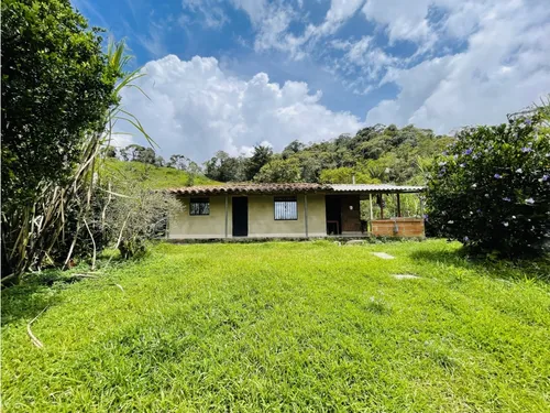 Se Vende Finca De 7 Hectáreas En San Roque, Antioquia