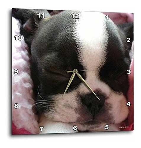 Boston Terrier Cachorro Reloj De Pared 13 Por 13 Pulgad...