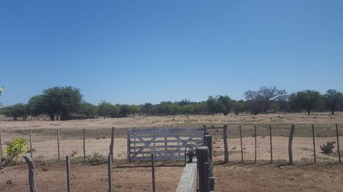 Campo En Venta Villa Quilino - Campo Ganadero Con 2 Casas