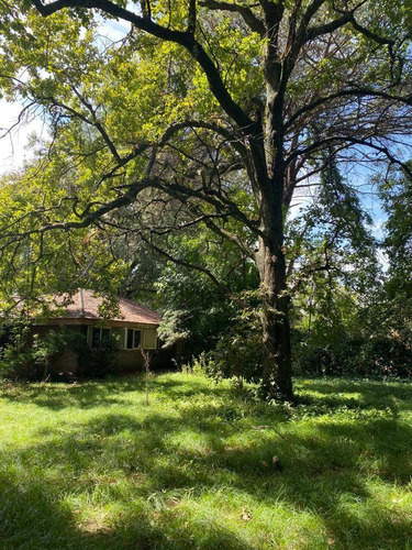 Imagen 11 de 17 de 27 Entre 420 Y 422 - Lote En Venta - Villa Elisa, La Plata