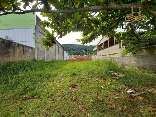 Imagem 1 de 11 de Terreno Para Alugar, 252 M² Por R$ 1.700,00/mês - Nova Esperança - Balneário Camboriú/sc - Te0053