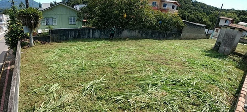 Imagem 3 de 7 de Terreno Canto Da Praia - 50187