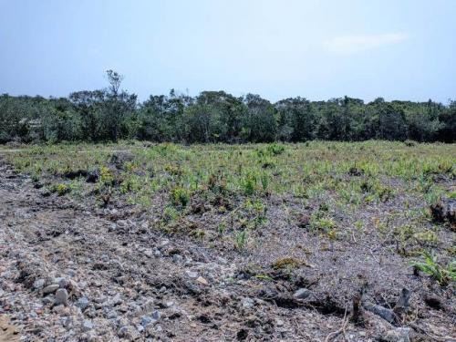 Imagem 3 de 3 de Terreno Na Praia Por Apenas 3 Mil De Entrada + 120x R$449,00