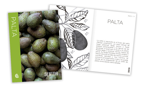 Senttia - Palta - Recetas+qr Con Videos - Catapulta Edit