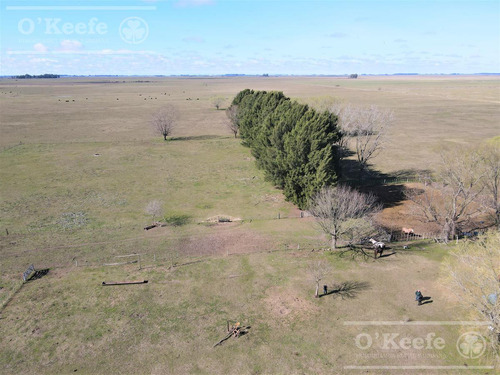 Campo En Venta 133 Has En Magdalena - Mixto.