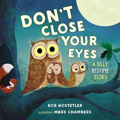 Don't Close Your Eyes - Bob Hostetler