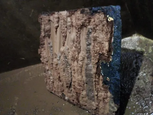 Limpieza Desinfección Tanques De Agua Caba Gba Certificados