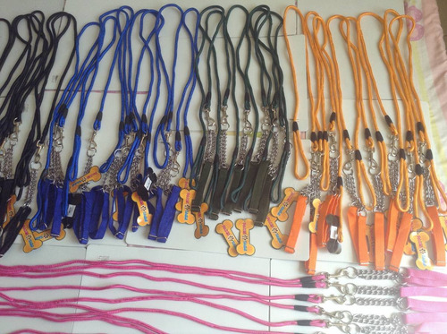 Collar Y Correa Para Perros Colores Varios