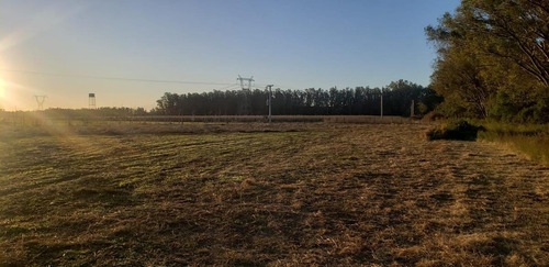 Imagen 20 de 21 de Venta En Estancia El Aduar Club De Chacras 2 Has Bosque Y Llano, Con Mejoras