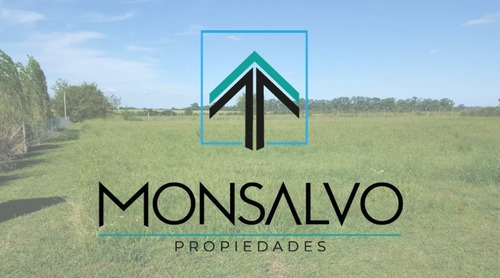 Imagen 2 de 5 de Venta Lote En Barrio Privado El Espinillo Carlos Keen