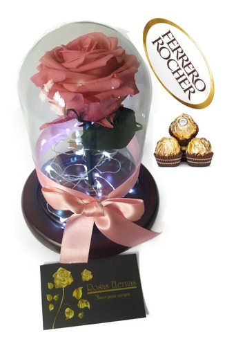 Rosa Preservada Premium 100% Natural + Cúpula + Envio Gratis