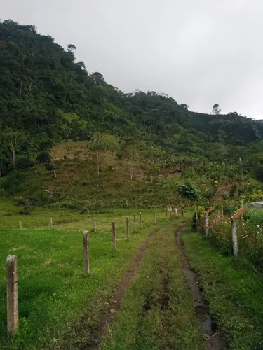 Hermosa Finca De 8 Hectáreas En Fresno Tolima