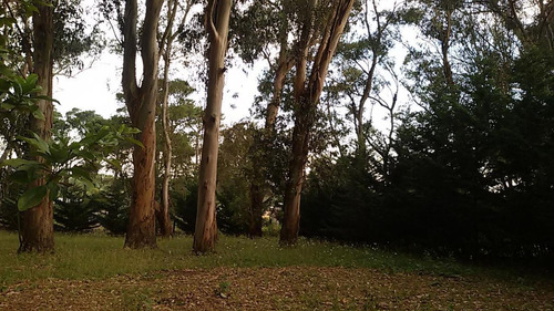 Imagen 3 de 3 de Venta De Terreno En Bosque Peralta Ramos