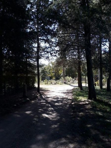 Imagen 3 de 5 de Lote | Entrada A13
