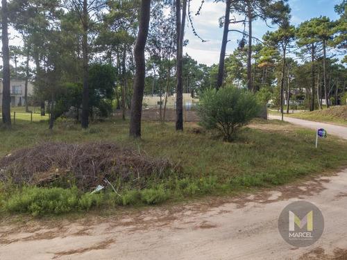 Imagen 4 de 10 de Lote En Venta - Zona Alamos Ii - Pinamar