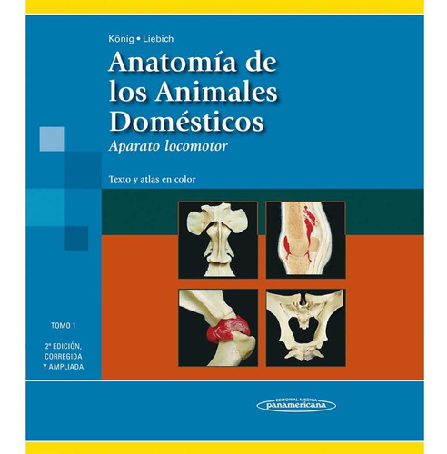 Anatomía De Los Animales Domésticos 2 Tomos