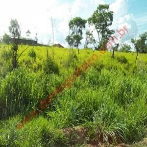 Imagem 9 de 10 de Venda - Terreno - Vila Dainese - Americana - Sp - D4070