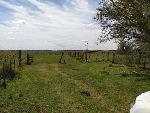 Campo En Venta En Dolores - 122 Hectáreas