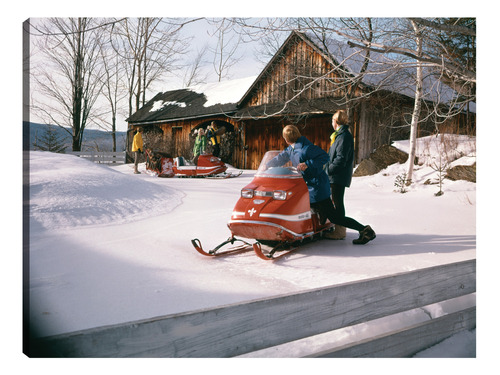 Cuadro Decorativo - Moto De Nieve Y Lodge