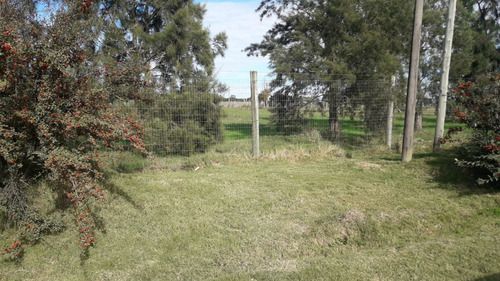 Sobre Camino Al Paso Hondo, Ruta 101. Punto Logístico.