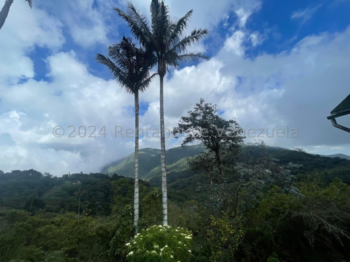 Casa De Campo En Venta En La Colonia Tovar Con 2200 Metros De Terreno Propio Excelente Ubicación Lista Para Firmar Nela 24-18402