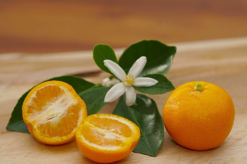 Clementina Frutal Gratis A Rm No Envio A Regiones