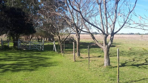Imagen 14 de 30 de Venta - Campo En Cardales - Bayugar Negocios Inmobiliarios