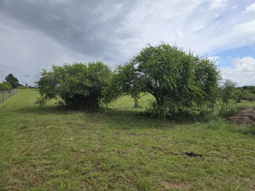 Terreno Lote 1,2 Hectarea Santa Ana Colonia