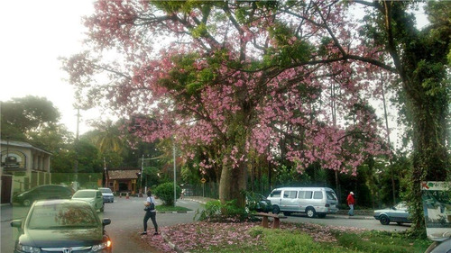 Imagem 16 de 16 de Terreno À Venda, 1343 M² Por R$ 490.000,00 - Granja Viana - Carapicuíba/sp - Te0384