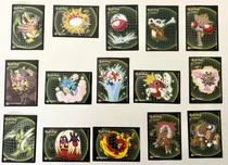 Comprar Figuritas Pokemon Máster Quest Lote 3  Son 15 Figuritas