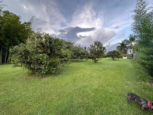 Vendo Lote En Parcelacion En Llanogrande