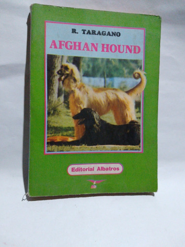 Afghan Hound - R. Taragano