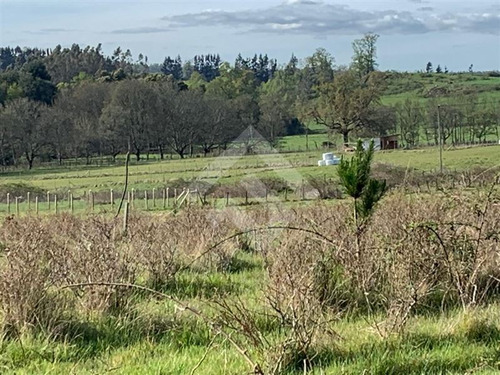 Sitio En Venta En Panguipulli Etchegaray