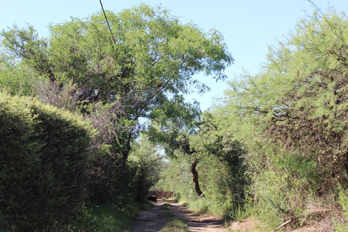 Imagen 11 de 14 de Venta De 2 Hectáreas Con Monoambiente En Carpintería
