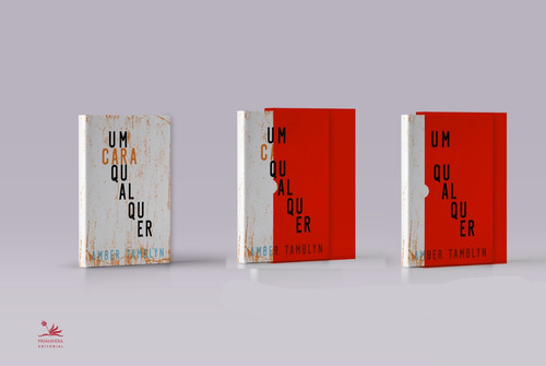 Um cara qualquer, de Tamblyn, Amber. Editorial Pri Primavera Editorial,Harper Perennial, capa dura em português, 2018