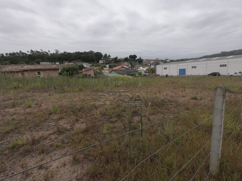 Imagem 3 de 4 de Terreno Comercial - Vila Sao Jorge - Ref: 30102 - V-30100
