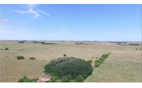 Imagen 1 de 19 de Campo Mixto De 280 Has Con Inmejorable Acceso Sobre Asfalto En Alegre - Oportunidad !