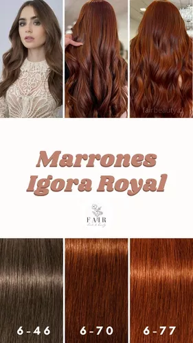 Tinte para cabello Schwarzkopf Professional IGORA Royal Color 5-7