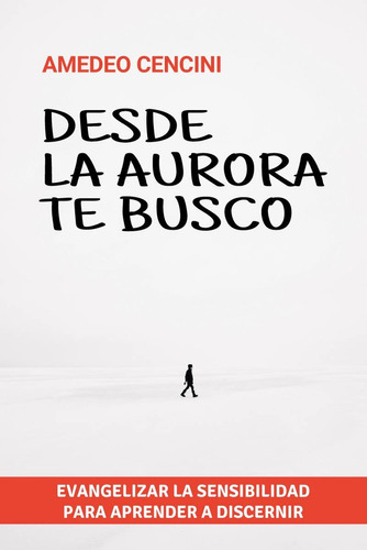 Desde La Aurora Te Busco, De Cencini, Amedeo. Editorial Salterrae, Tapa Blanda En Español