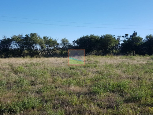 Imagen 1 de 12 de Chacra En Los Ceibos 4 Hás