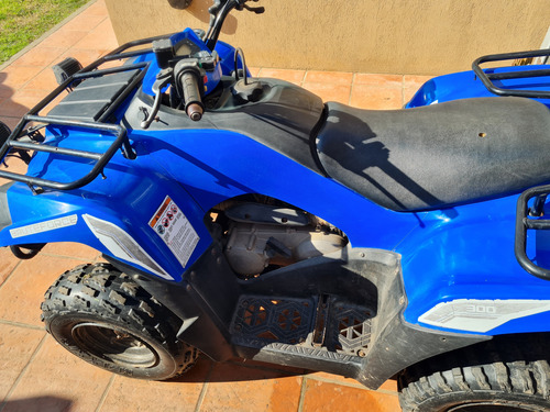 Kawasaki Brute Force 300cc