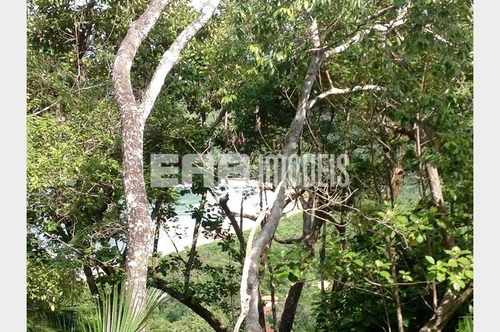 Imagem 20 de 26 de Sensacional - Flpru - 33273935