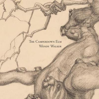 Libro The Camperdown Elm - Wendy Walker