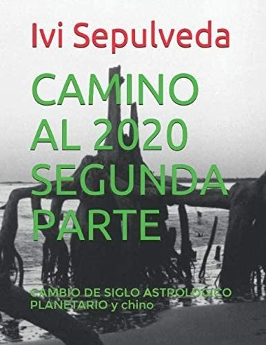 Libro: Camino Al 2020 Segunda Parte: Cambio De Siglo Astrolo