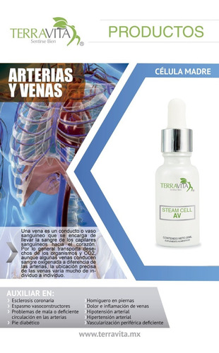 Célula Madre Av