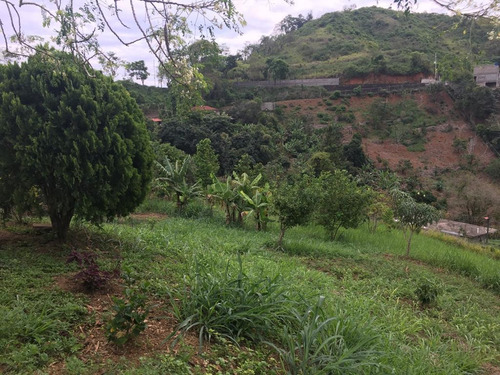 Imagen 2 de 8 de Parcela De Terreno Y Casa Carayaca