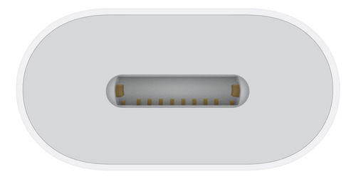 Adaptador Usb-c A Lightning Apple Para iPhone Y iPad