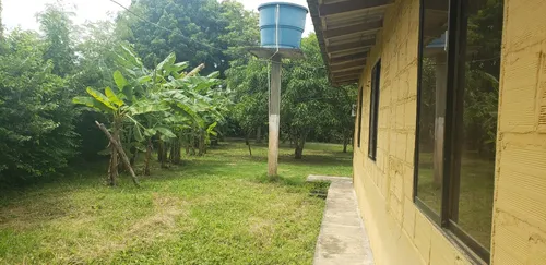 Finca En Venta A 15 Minutos Del Centro De Cerete