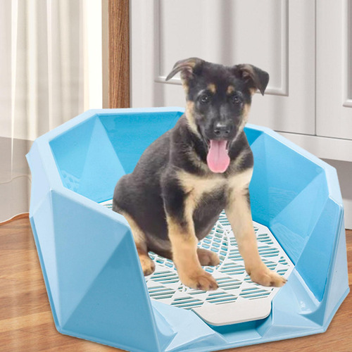 Almohadillas Para Ir Al Baño Para Perros De Interior, Azul